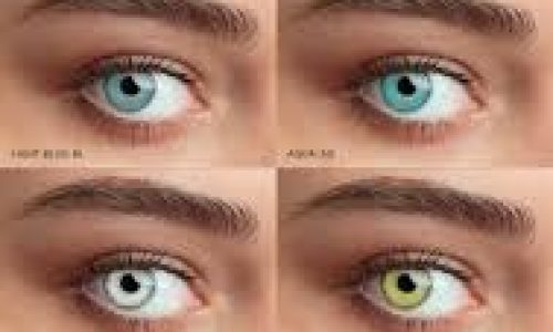 QUEEN_S MENSILI COLORATE